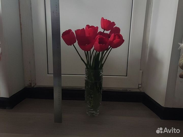 Красные тюльпаны, цветы