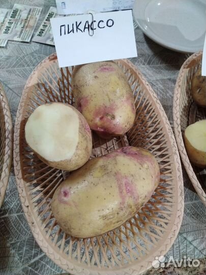 Продам картофель