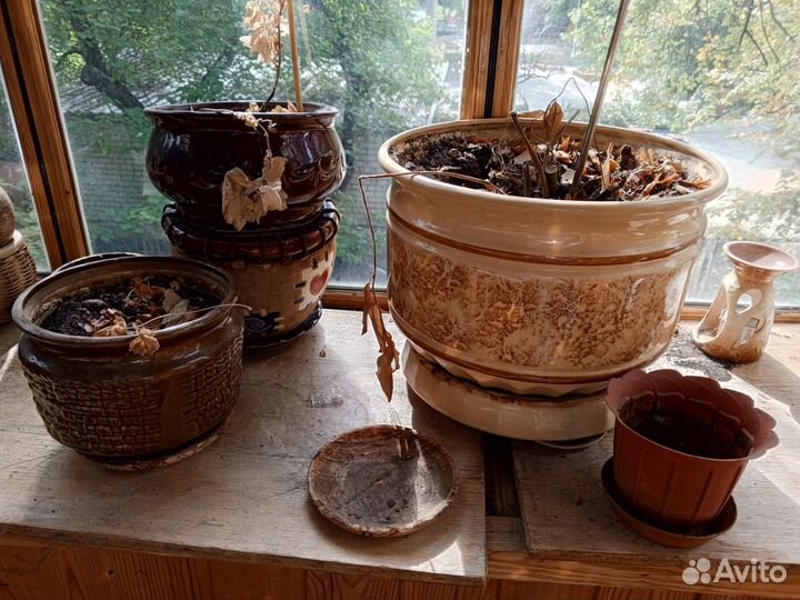 Горшки под цветы керамические