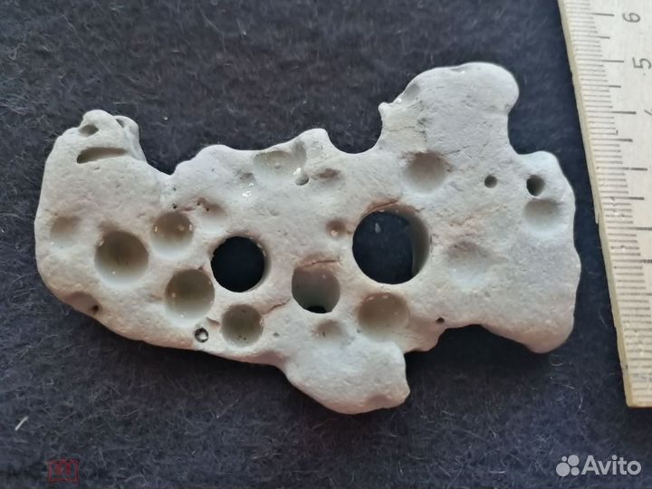 Рыбка на камне.окаменелость. морская тема