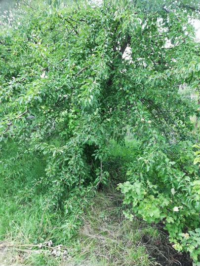 Дом 68,2 м² на участке 50 сот.