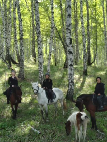 Участок 2,14 га (ИЖС)