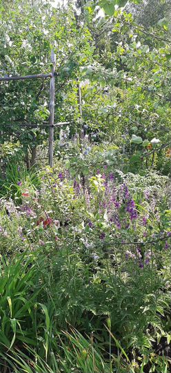 Дача 35 м² на участке 12 сот.