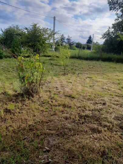 Участок 5,8 сот. (СНТ, ДНП)