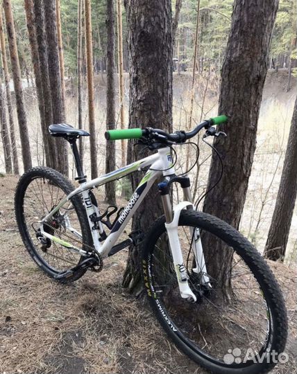 Mongoose tyax expert 29