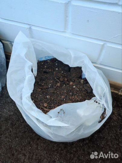Пакет земли для комнатных растений