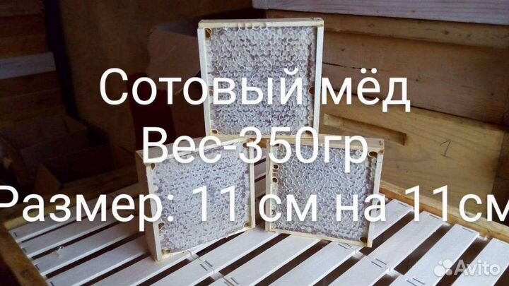 Мёд 2023, белая акация