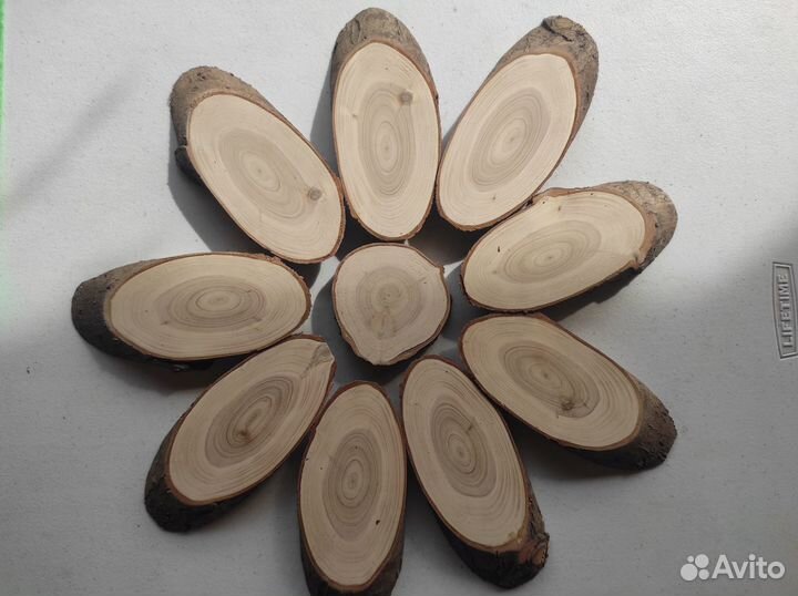 Спилы дерева разных пород