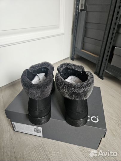 37 новые ботинки ecco bella