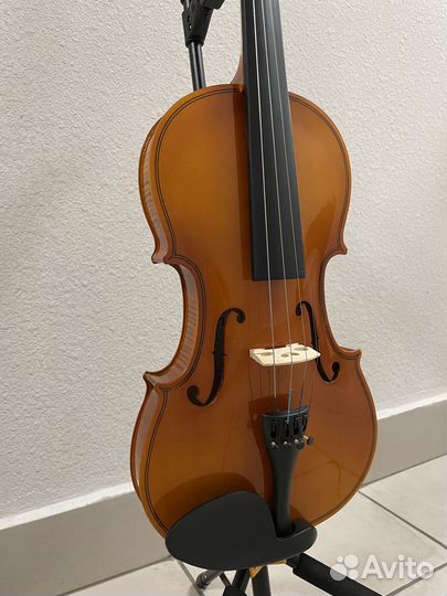 Скрипка для начинающих