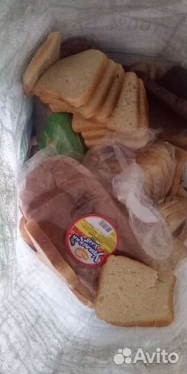 Хлеб на корм животным