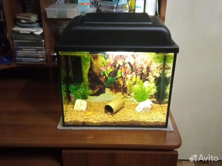Отличный, готовый аквариум