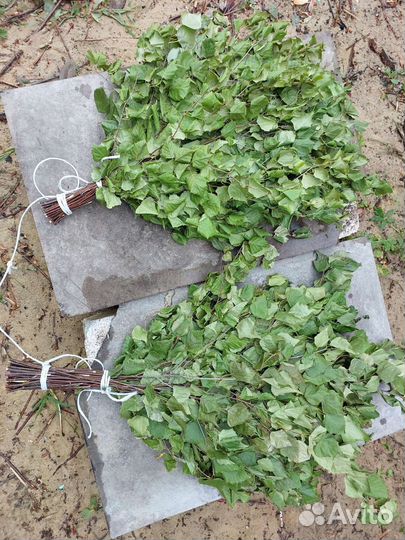 Веники для бани берёзовые