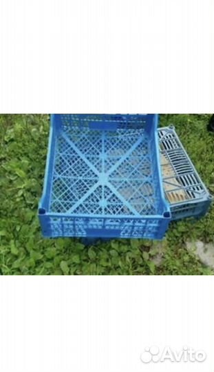 Пластиковые ящики бу принимаю