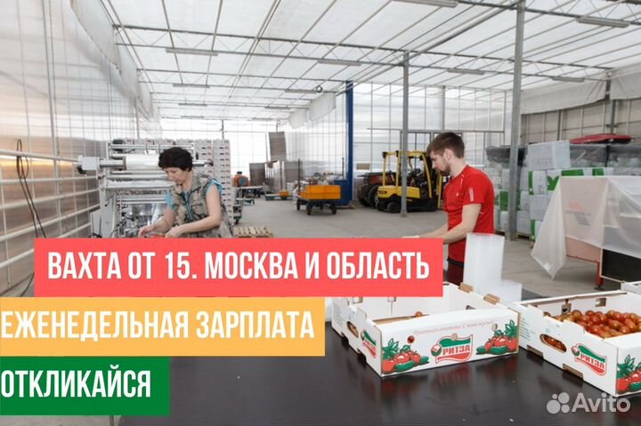 Упаковщик/ца клубники на склад от 15 смен