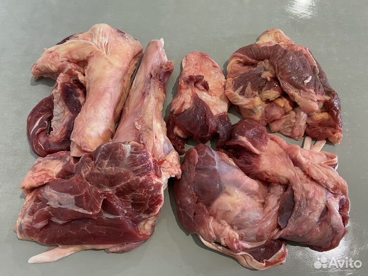 Жилка говяжья