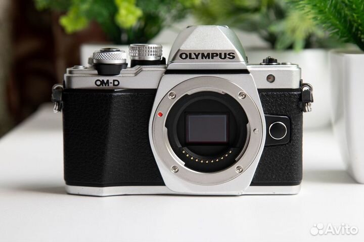 Olympus OM-D E-M10 Mark II Kit