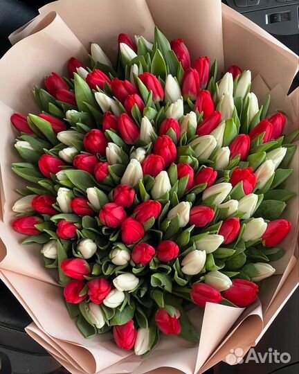 Тюльпаны/ 51, 101 тюльпан