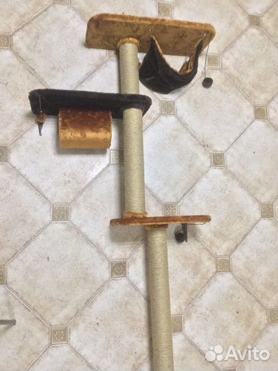 Комплексы настенные с когтеточками и полками