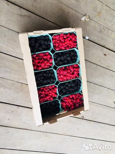 Малина,смородина