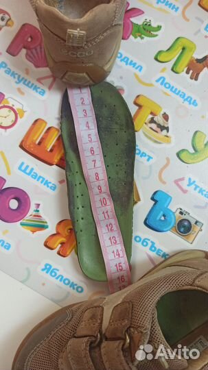 Кроссовки ecco р. 24