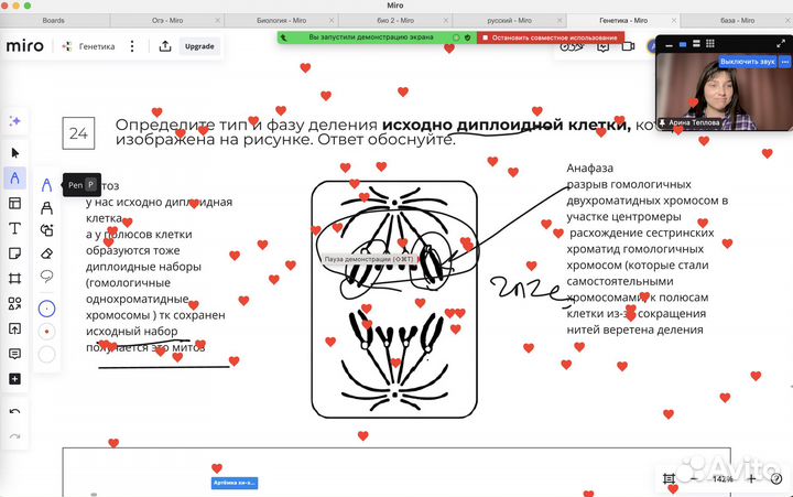 Репетитор по биологии