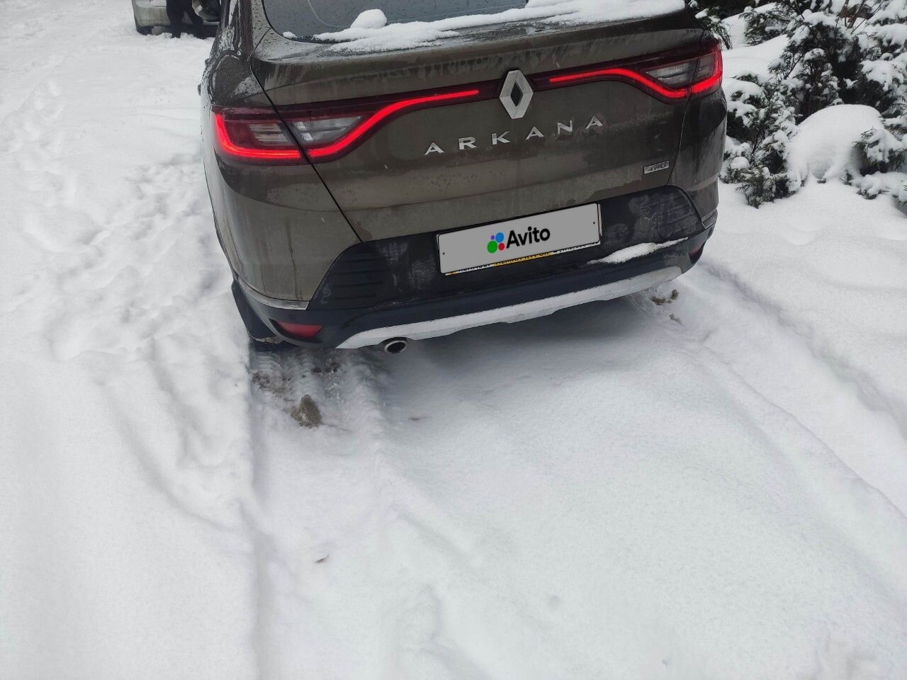 Renault Arkana: фото владельца