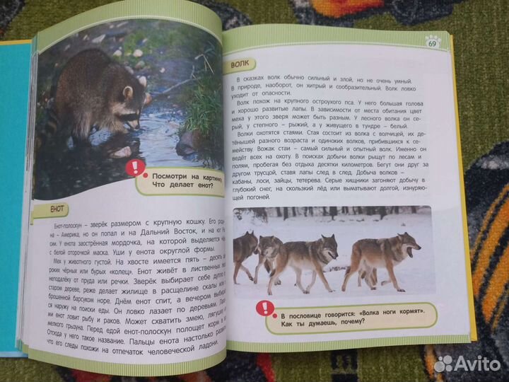 Детская энциклопедия