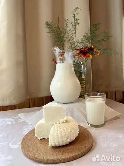 Молоко козье, сыр