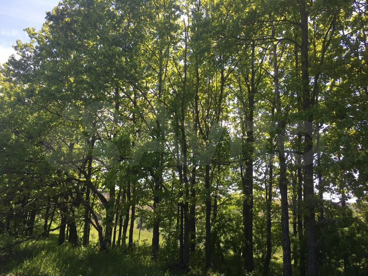 Участок 2 га (СНТ, ДНП)