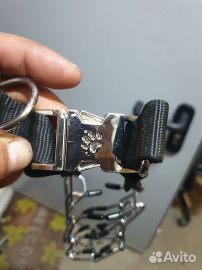 Строгий ошейник для собак