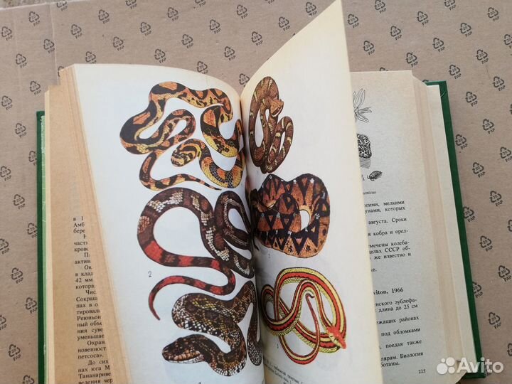 Редкие и исчезающие животные Книга-справочник Змеи