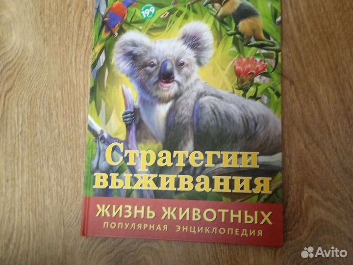 Стратегии выживания