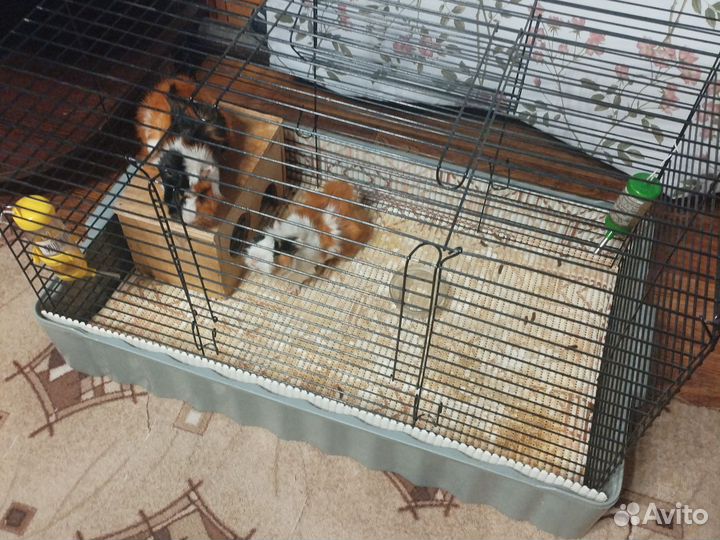 Клетка для грызунов большая
