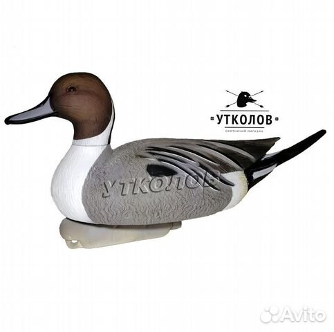Чучело утки разборное 
