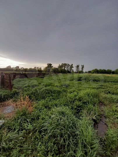 Дом 36 м² на участке 43 сот.