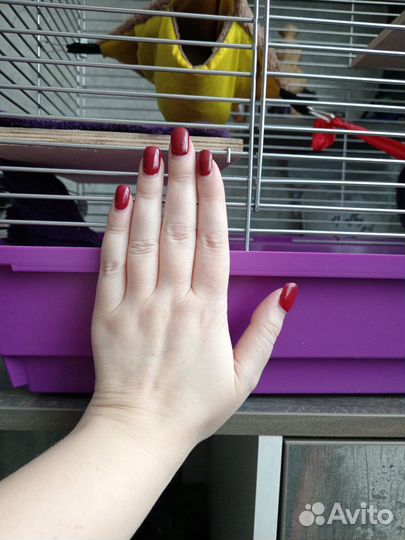 Клетка для грызунов