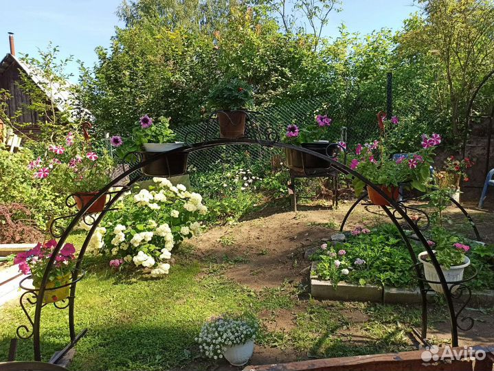 Арка для петуний