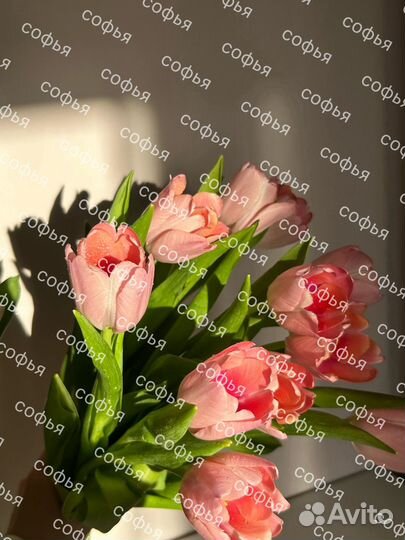 Тюльпаны к 8 марта