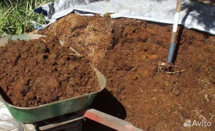 Перегнoй 3-х годовалый