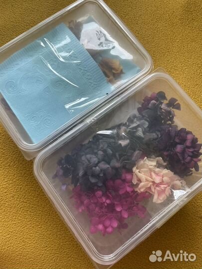 Сухоцветы для творчества