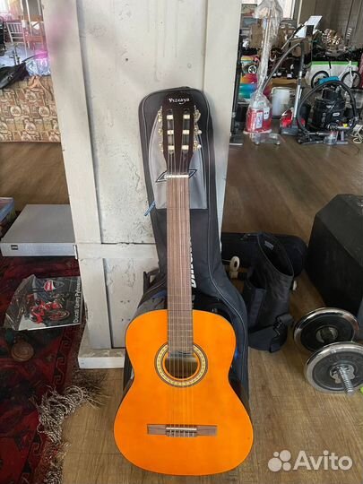 Гитара классическая Vizcaya с чехлом