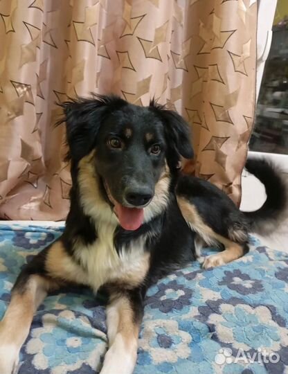 Супер умная девочка