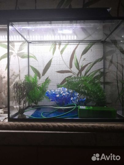 Аквариум