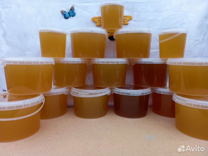 Мёд натуральный 2023