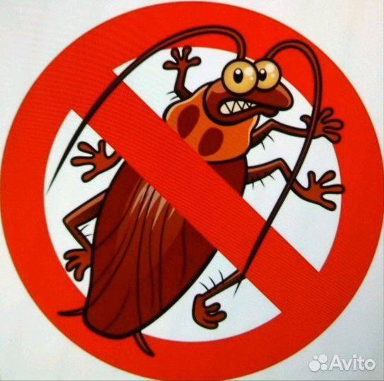Уничтожение клопов, тараканов, муравьёв, блох
