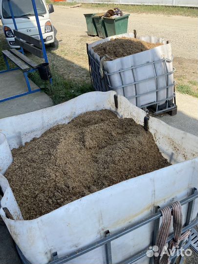 Пивная дробина (солод) для корма скота, птиц, рыб