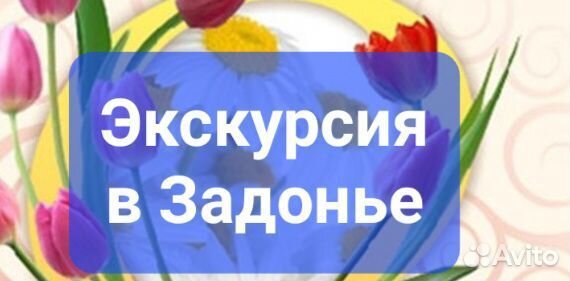 Экологический экскурсионный тур в Задонье