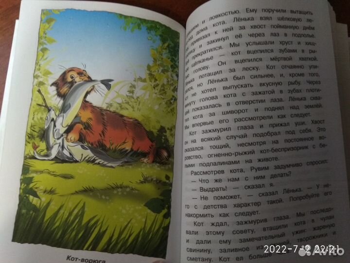 Книга К. Г. Паустовский