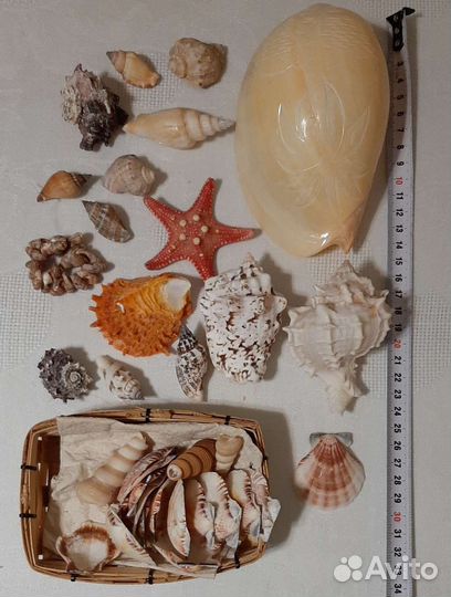 Аксессуары для аквариума(камни, сачок, ракушки)